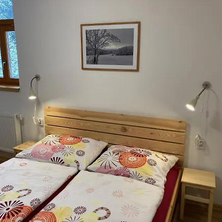 Sedivinske Apartmany - Rodinne Apartmany V Orlickych Horach Kounov Exterior photo