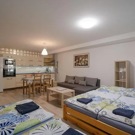 Sedivinske Apartmany - Rodinne Apartmany V Orlickych Horach Kounov Exterior photo