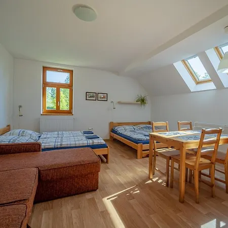 Sedivinske Apartmany - Rodinne Apartmany V Orlickych Horach Kounov Exterior photo