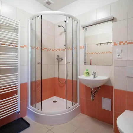 Sedivinske Apartmany - Rodinne Apartmany V Orlickych Horach Kounov Exterior photo