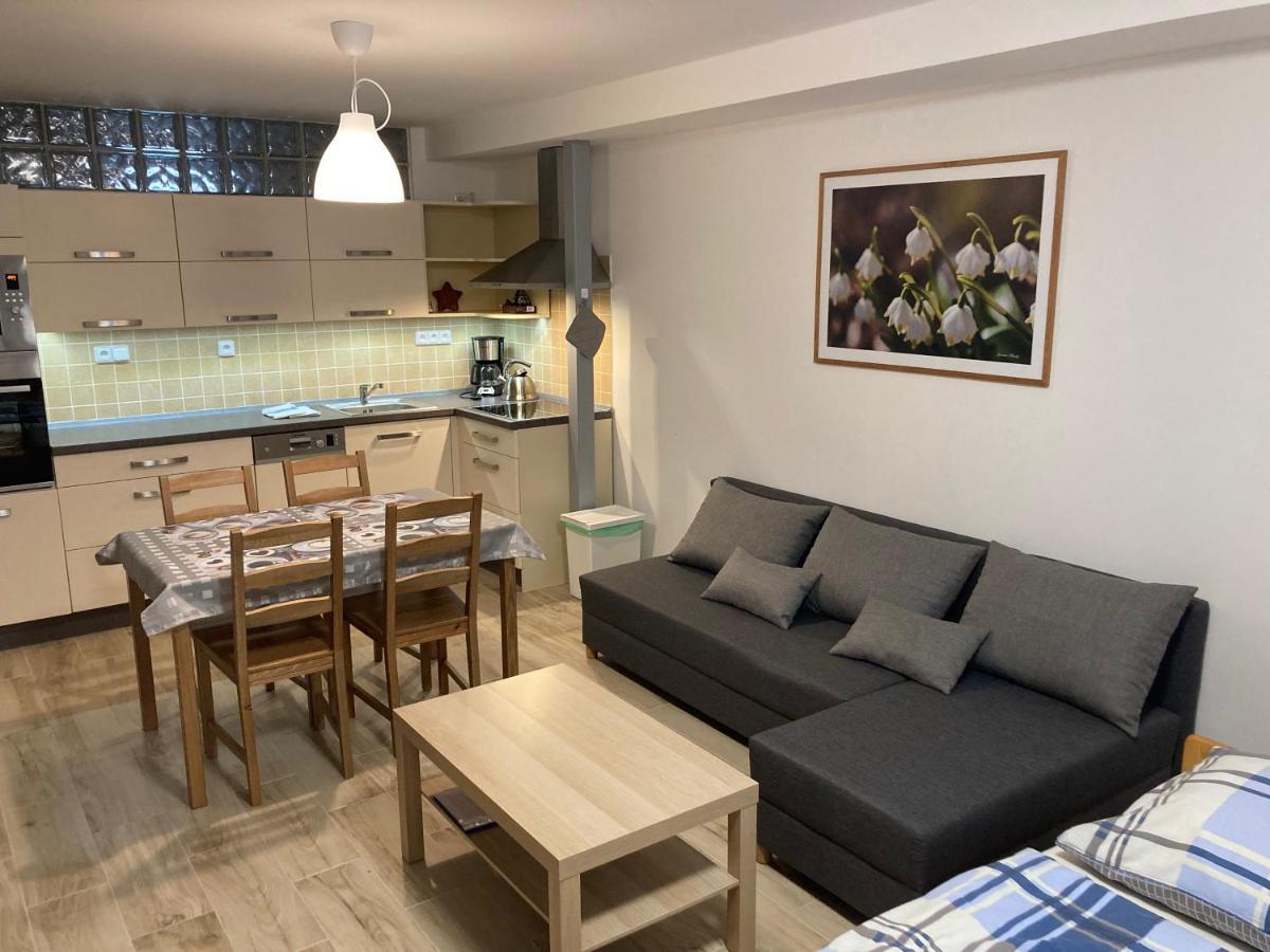 Apartment Sedivinske - Rodinne V Orlickych Horach *