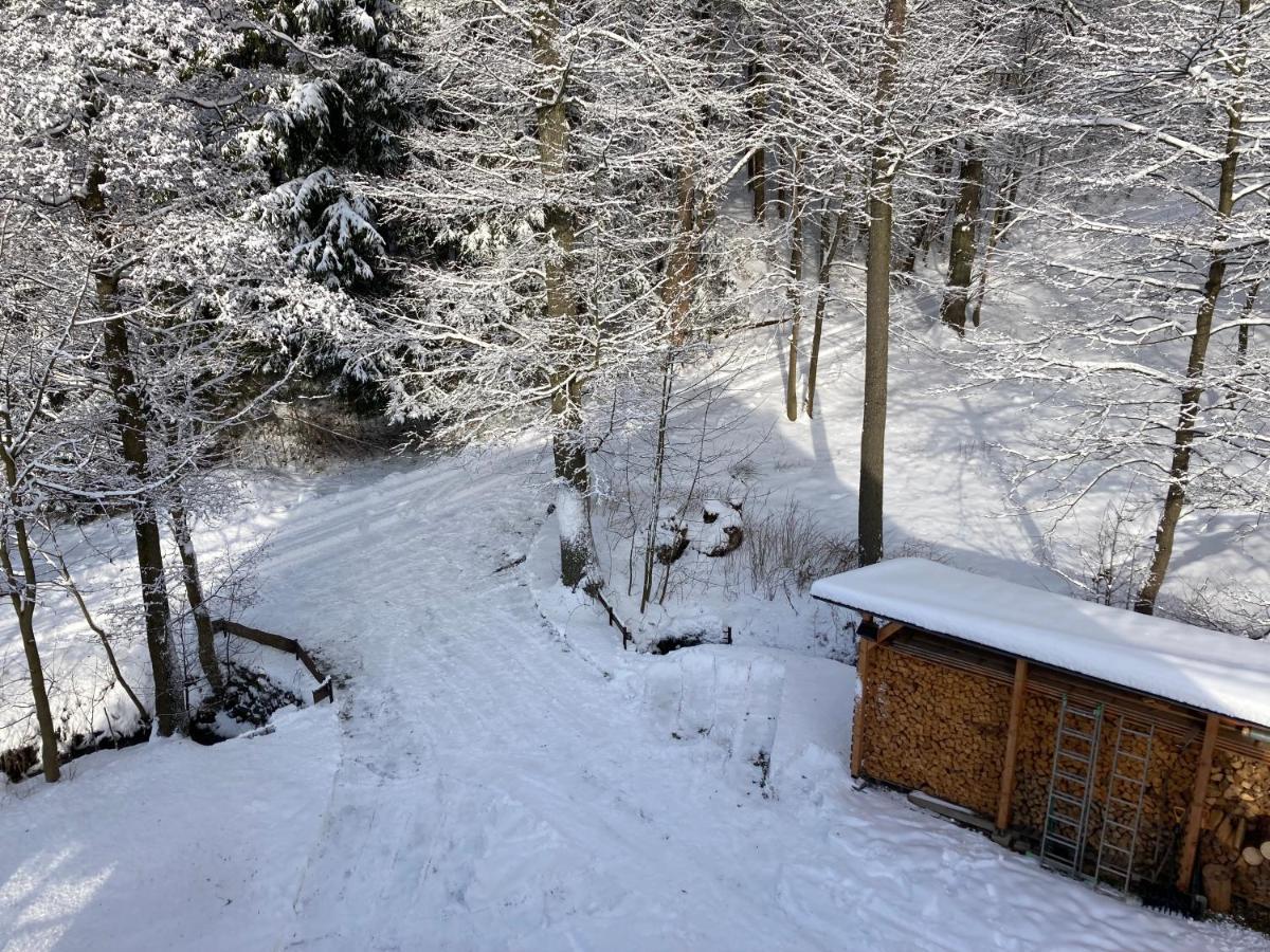 Sedivinske - Rodinne V Orlickych Horach Apartment *