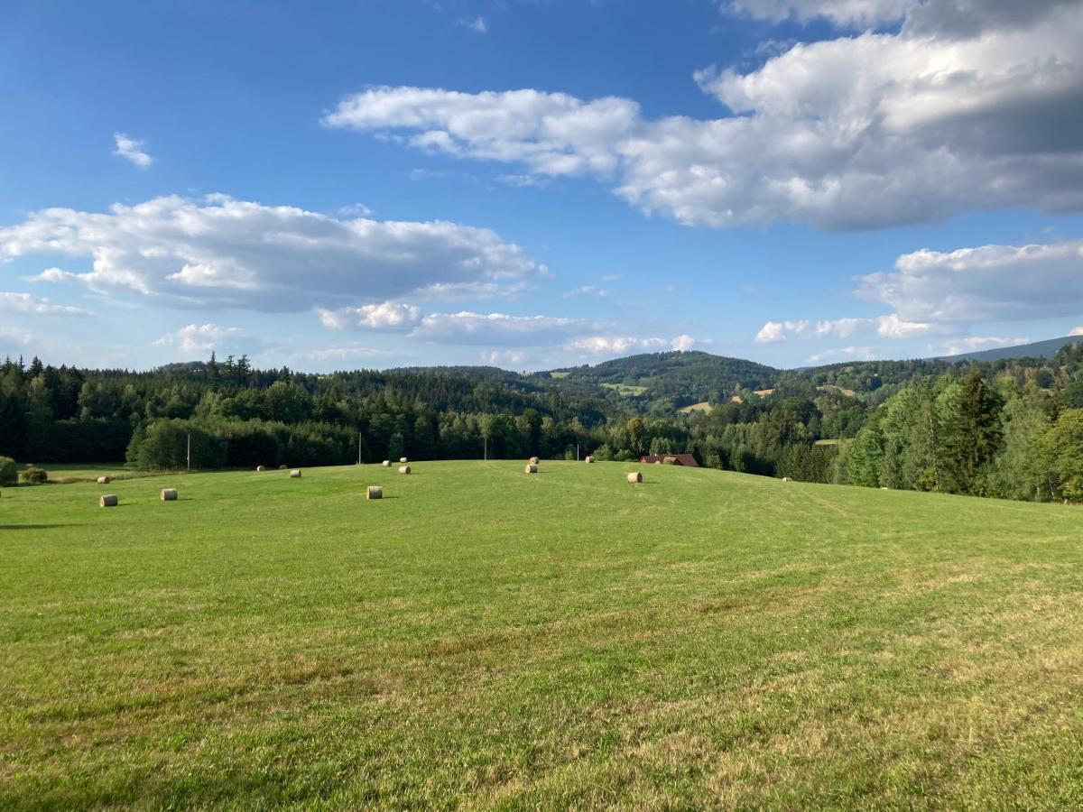 Sedivinske - Rodinne V Orlickych Horach Apartment Kounov