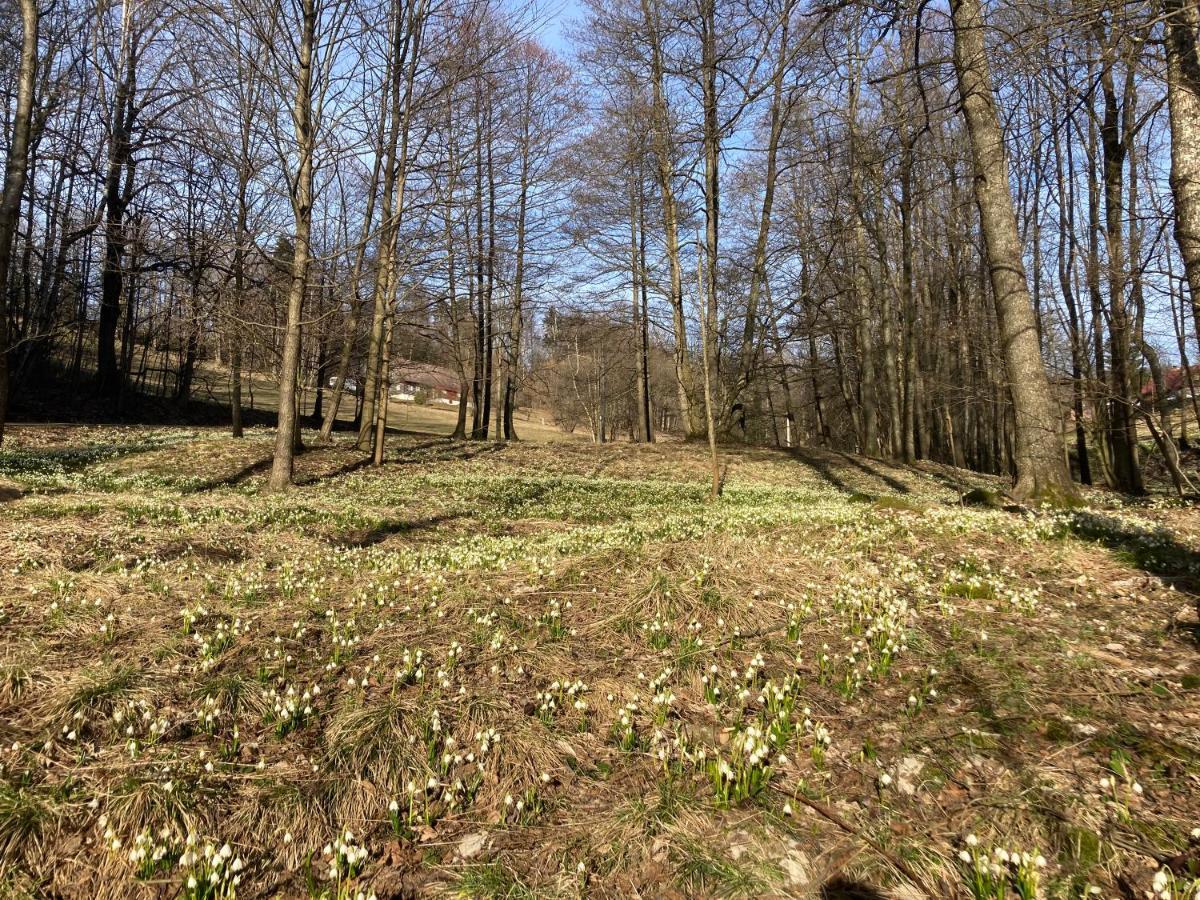 Sedivinske - Rodinne V Orlickych Horach Apartment