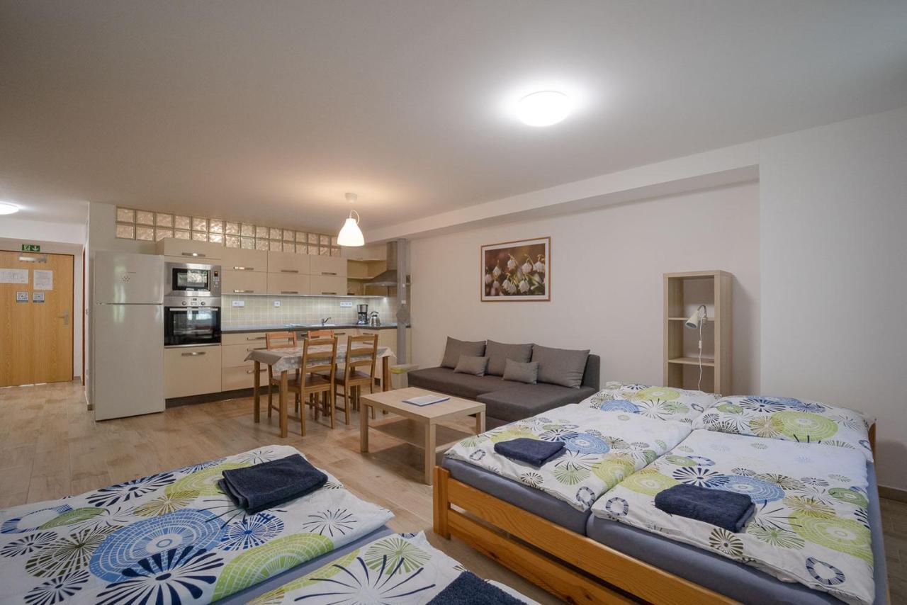 Apartment Sedivinske - Rodinne V Orlickych Horach Kounov